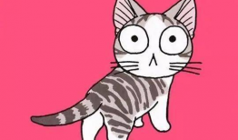 猫咪动漫,动漫猫咪的奇幻冒险之旅