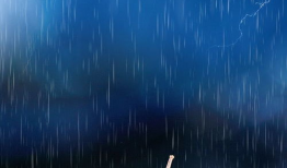 惊蛰短视频,春雷唤醒万物，短视频带你领略生机盎然