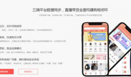 短视频带货玩法,轻松打造爆款，引爆流量变现！