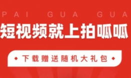 拍呱呱短视频运营,打造爆款内容，引领潮流风向标