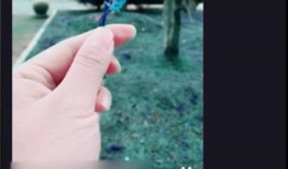 手机短视频特效,瞬间点亮你的创意瞬间