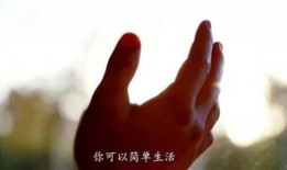暖心短视频,短视频中的暖心故事