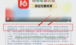 拍呱呱短视频运营,打造爆款内容，引领潮流风向标