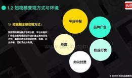 短视频 盈利模式,短视频平台多元化盈利模式解析