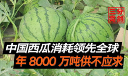 江苏吃瓜爆料是真的吗,真相揭秘还是无稽之谈？